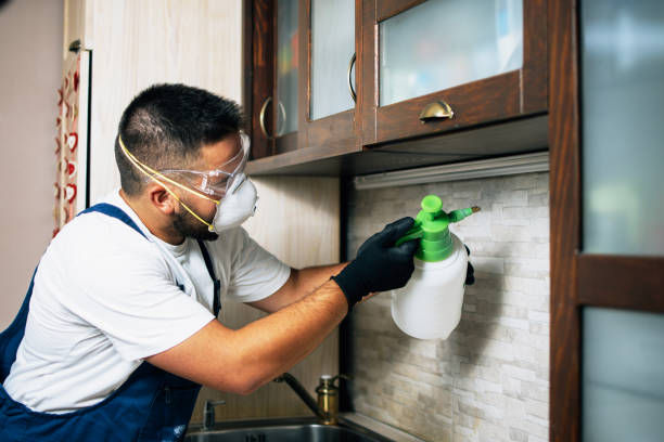 Best Flea Control Services  in The Village Of Indian Hill, OH