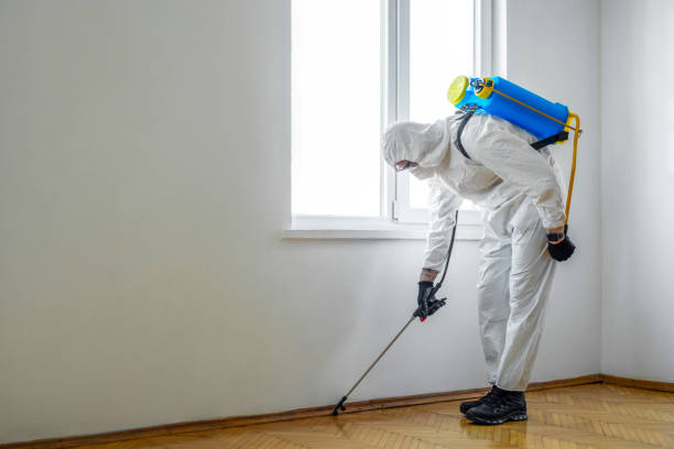 Reliable The Village Of Indian Hill, OH Pest Control Solutions