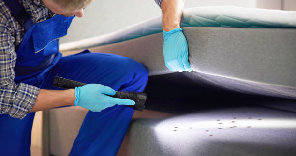Best Emergency Pest Control  in The Village Of Indian Hill, OH