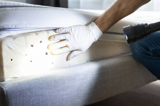 Best Residential Pest Control  in The Village Of Indian Hill, OH