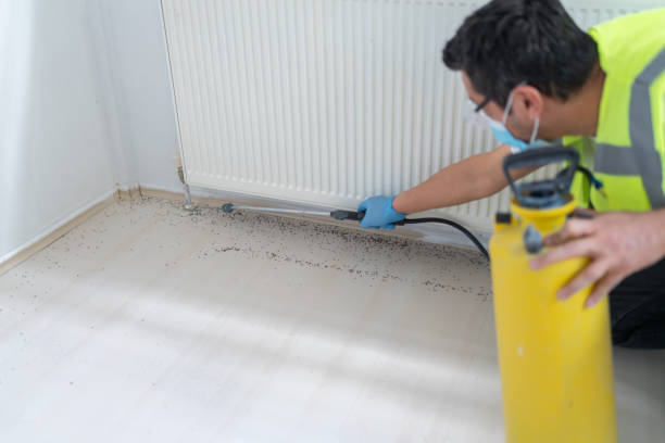 Best Local Pest Control Services  in The Village Of Indian Hill, OH