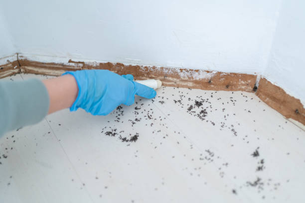 Best Cockroach Control Services  in The Village Of Indian Hill, OH